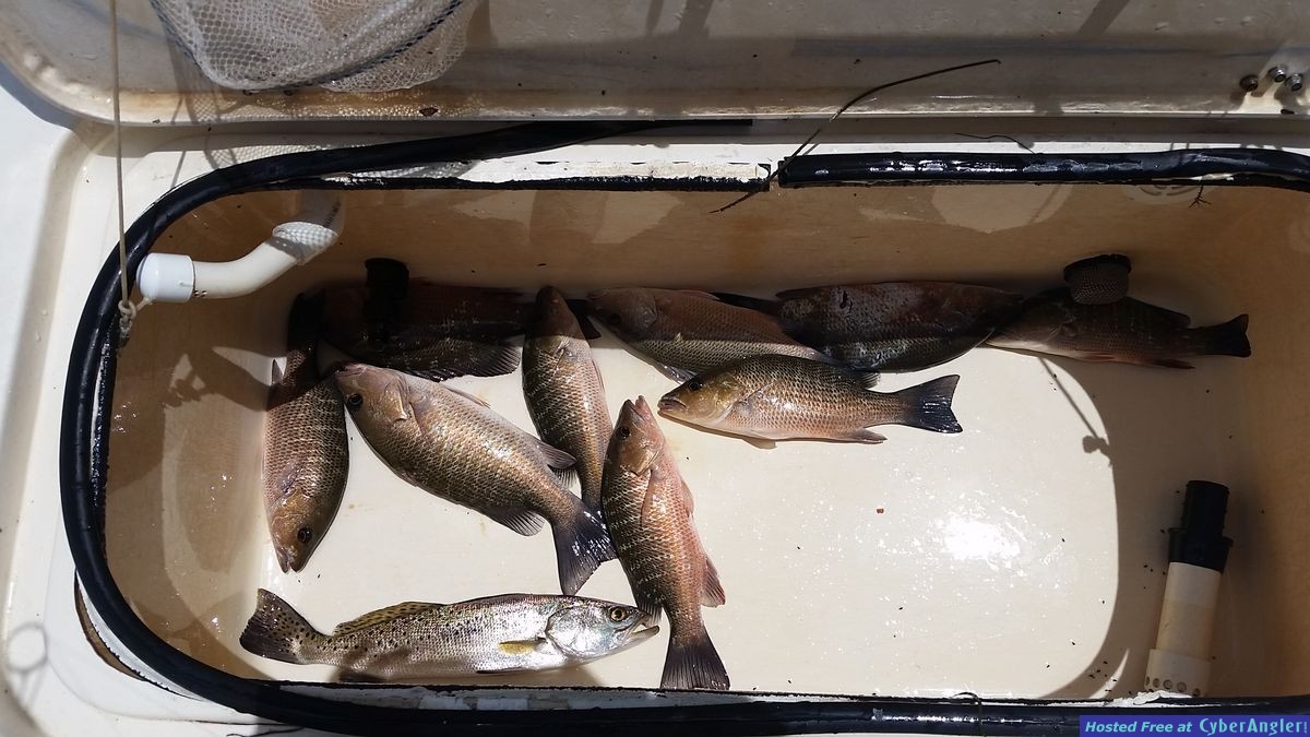 www.hookedoncharters.com flats fishing guide