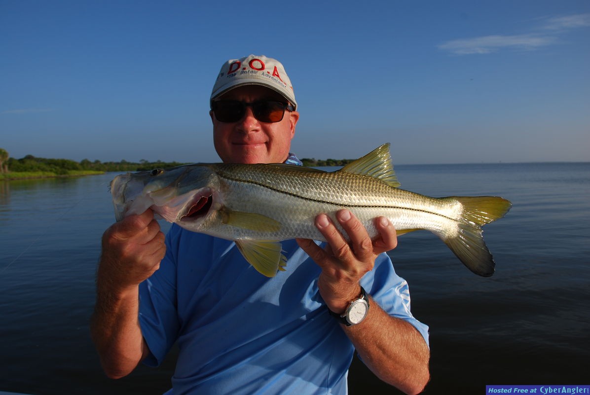 2016 Summer Mosquito Lagoon