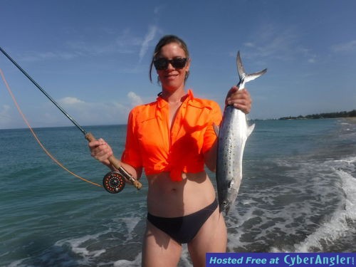 Click to Enlarge Photo