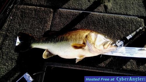 Click to Enlarge Photo