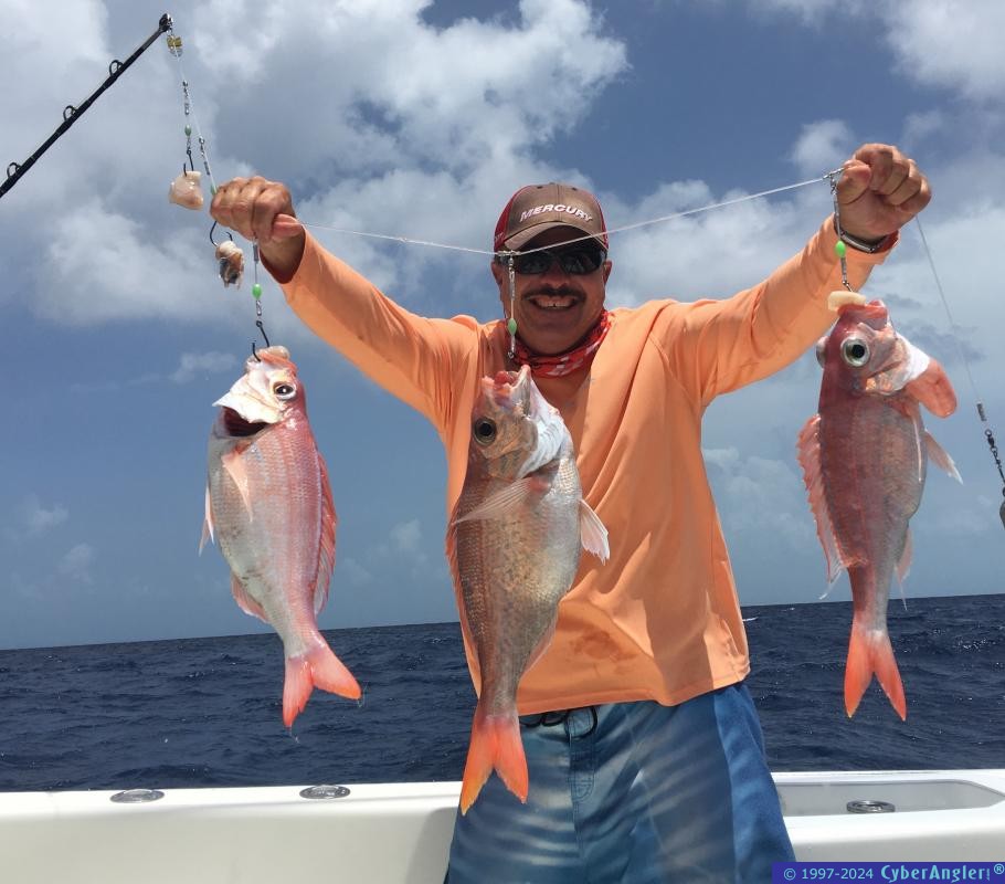 Click to Enlarge Photo