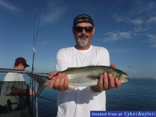 Click to Enlarge Photo