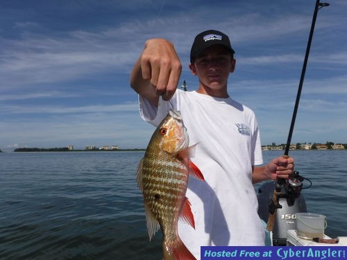 Click to Enlarge Photo