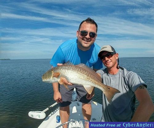 aug redfish