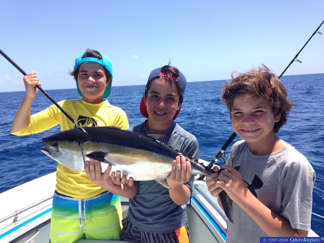 Click to Enlarge Photo