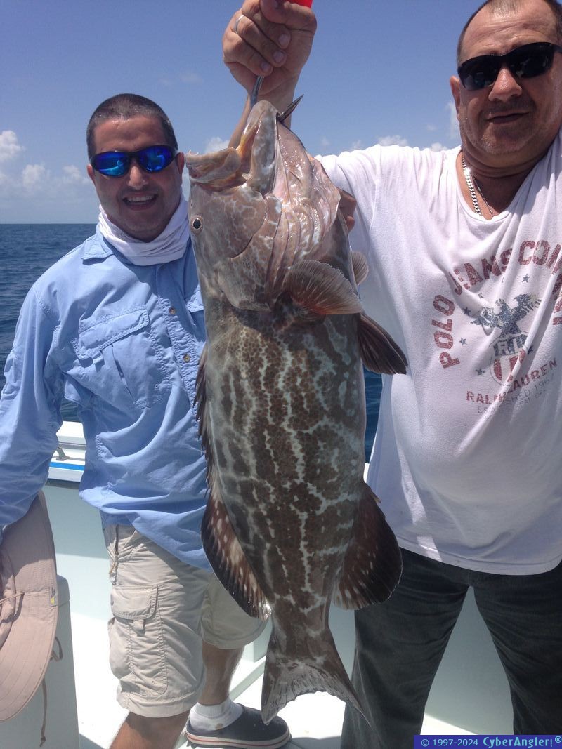 Click to Enlarge Photo