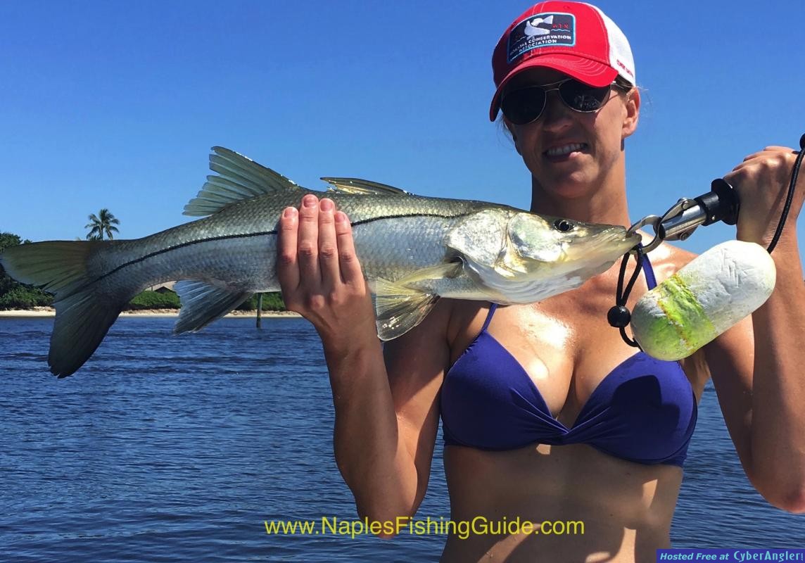 IMG_1346Aug 2016 NaplesFishingGuide