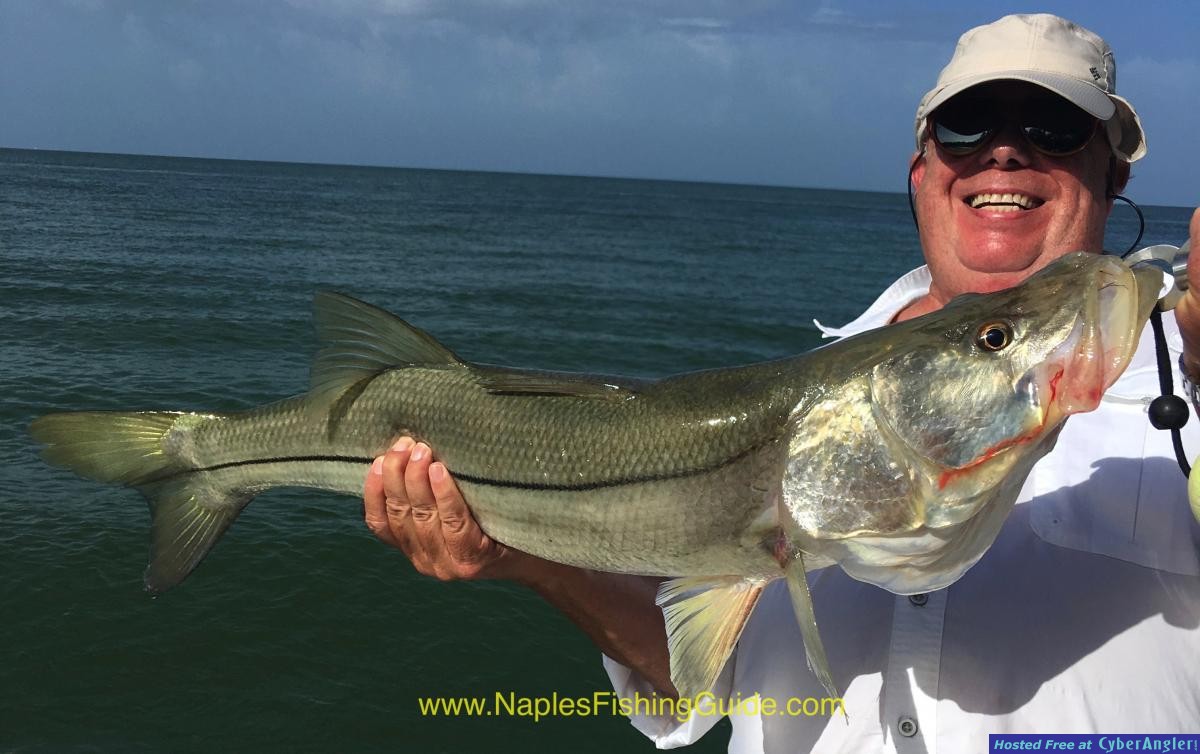 IMG_1298Aug 2016 NaplesFishingGuide