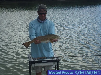 Tailing Redfish on fly