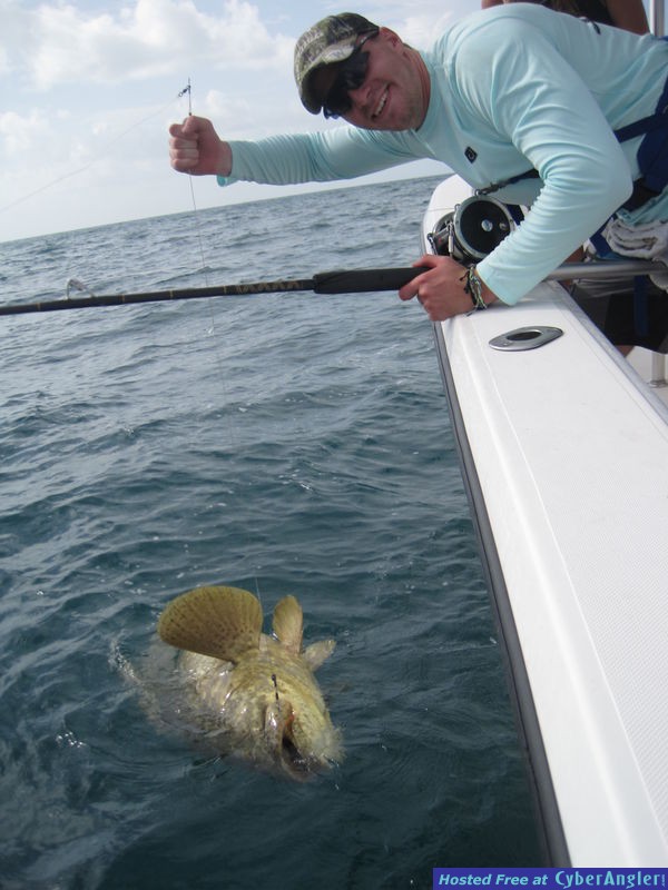 200 lb goliath grouper released