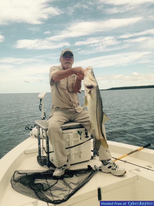 bruce big snook