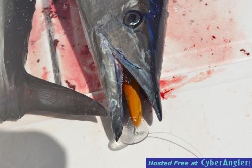 Click to Enlarge Photo