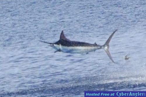 Click to Enlarge Photo