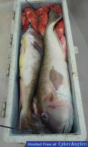 Click to Enlarge Photo