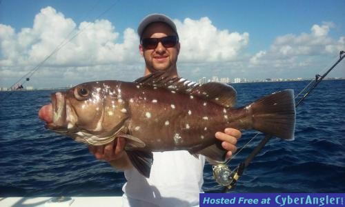 Click to Enlarge Photo