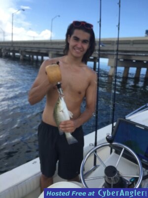 Click to Enlarge Photo