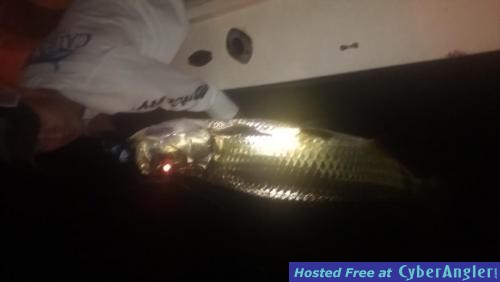 Click to Enlarge Photo