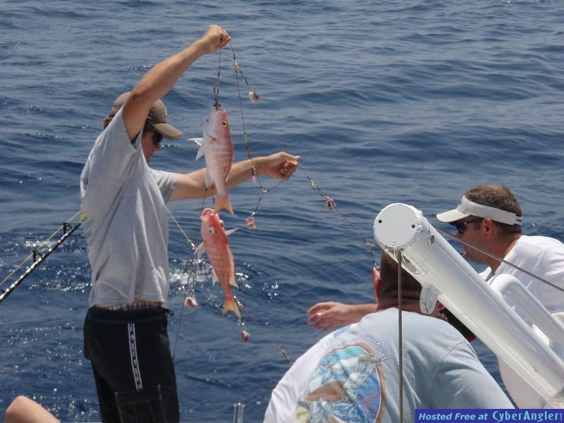 Bimini_-_Memorial_Day_2008_011