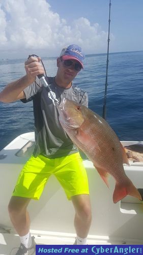 Click to Enlarge Photo