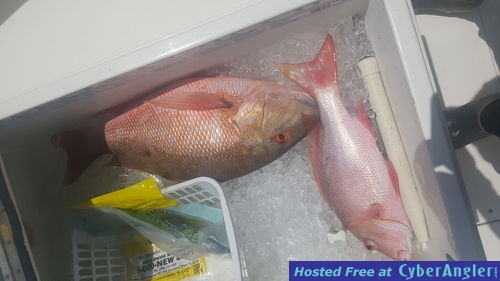 Click to Enlarge Photo