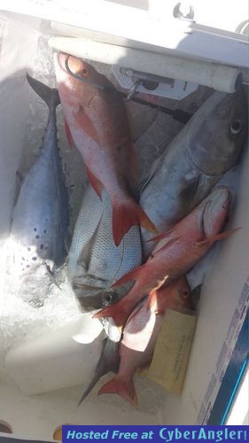 Click to Enlarge Photo