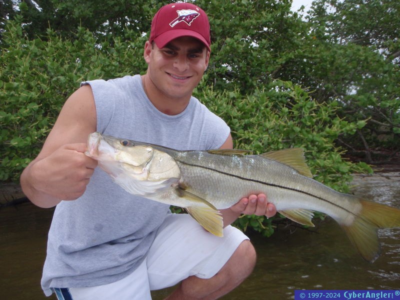Great snook caught in Tampa Bay!