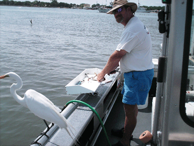 Click to Enlarge Photo