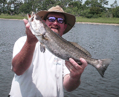 Click to Enlarge Photo