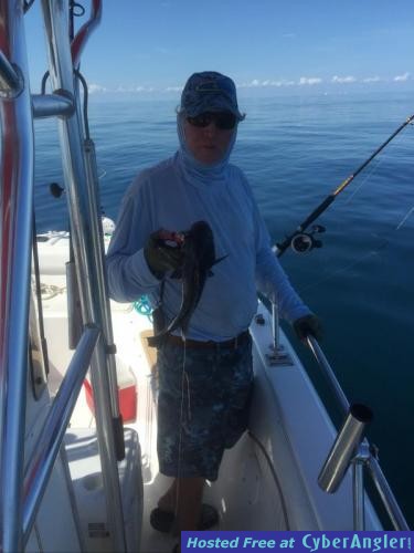 Click to Enlarge Photo