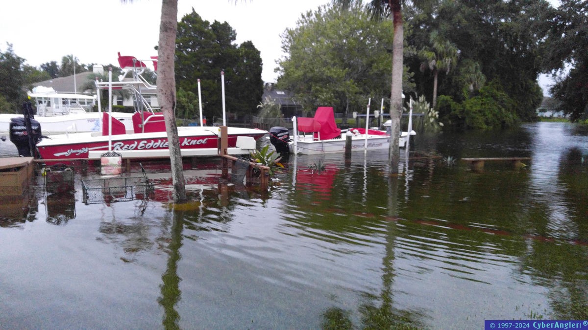 Fishing Homosassa, FL