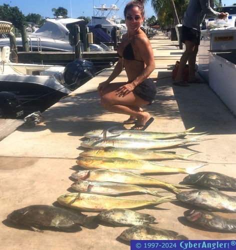 Click to Enlarge Photo