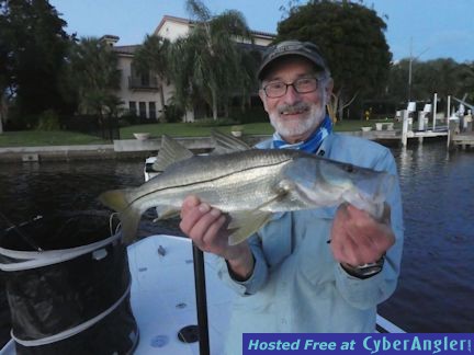 Steve Cohn Sarasota Bay Grassett Snook Minnow fly snook