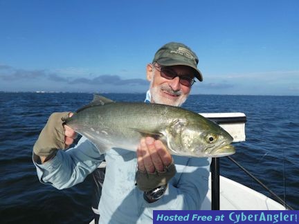 Steve Cohn Sarasota Bay Ultra Hair Clouser fly bluefish