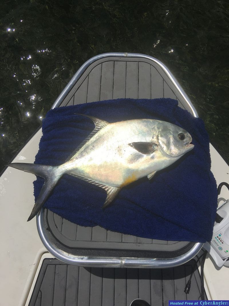 Fishing Biscayne Bay
