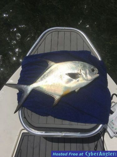 Fishing Biscayne Bay