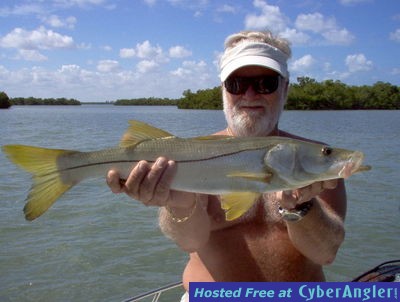 26 inch snook