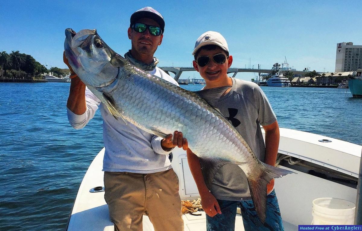 tarpon