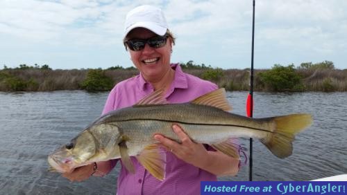 Click to Enlarge Photo