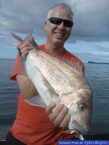 New Zealand snapper on softbait