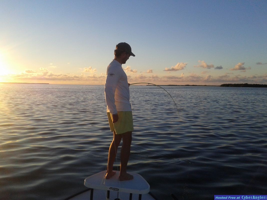 sun tarpon on fly