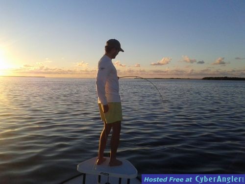 Click to Enlarge Photo