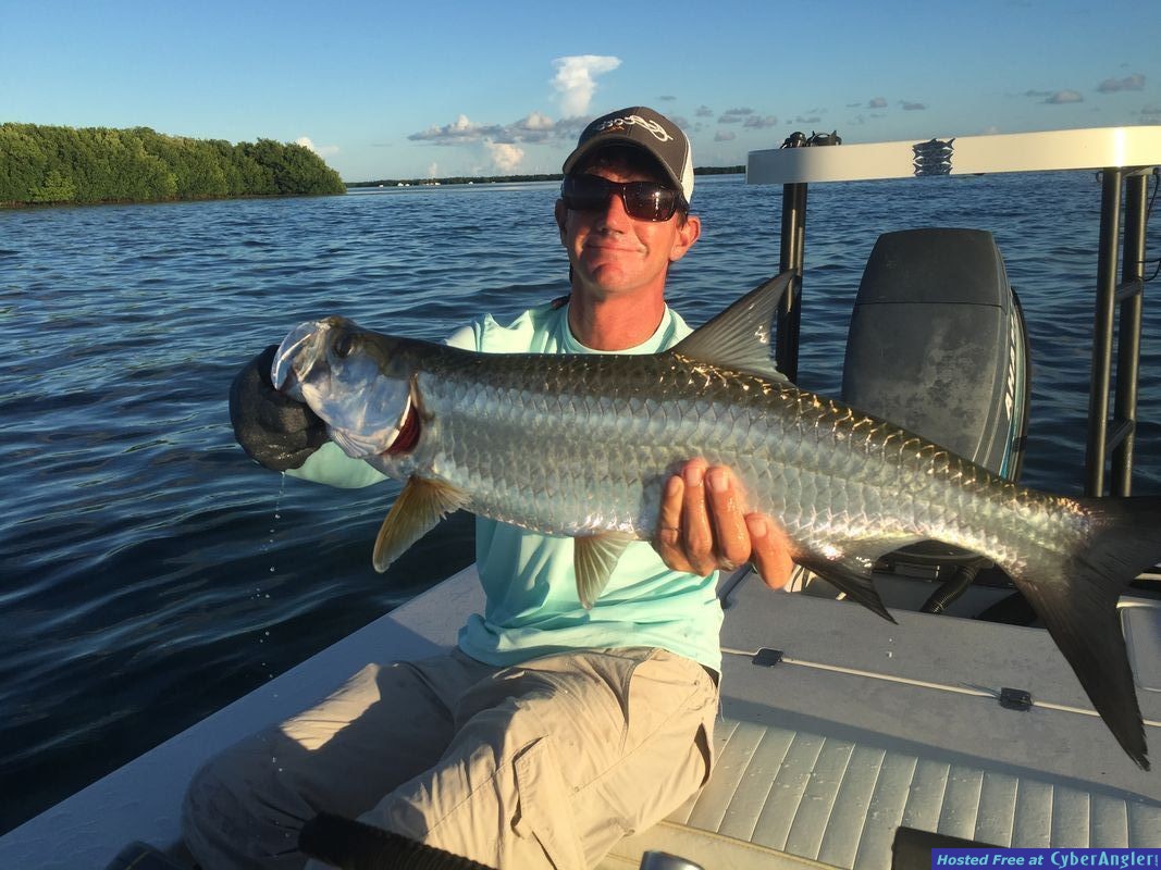 Tampa Bay tarpon on fly