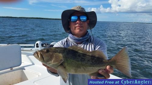 Click to Enlarge Photo