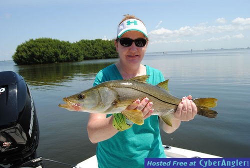 Click to Enlarge Photo