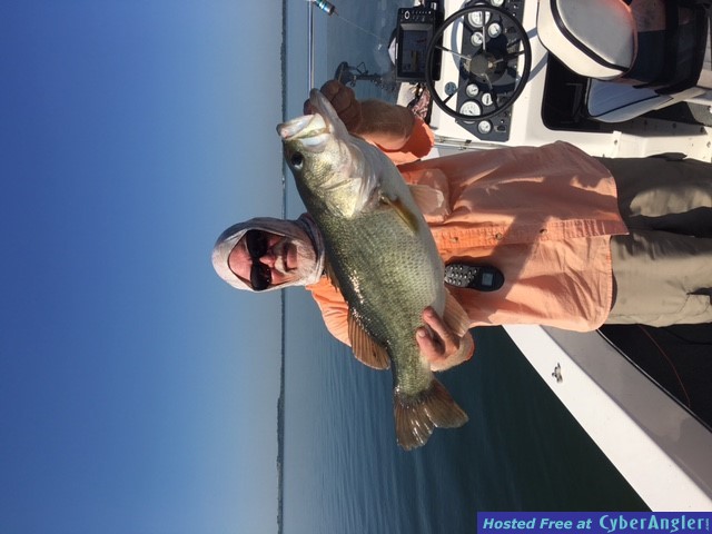 9 lb summer largemouth bass 2016