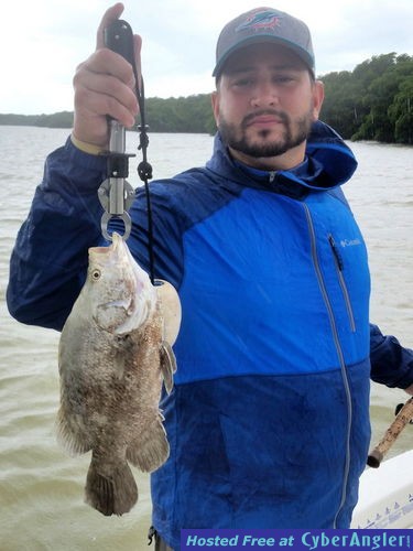 Click to Enlarge Photo