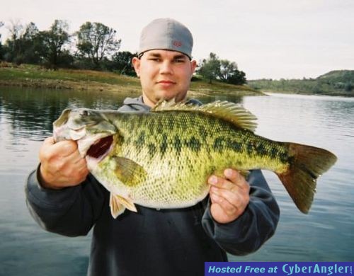 Click to Enlarge Photo