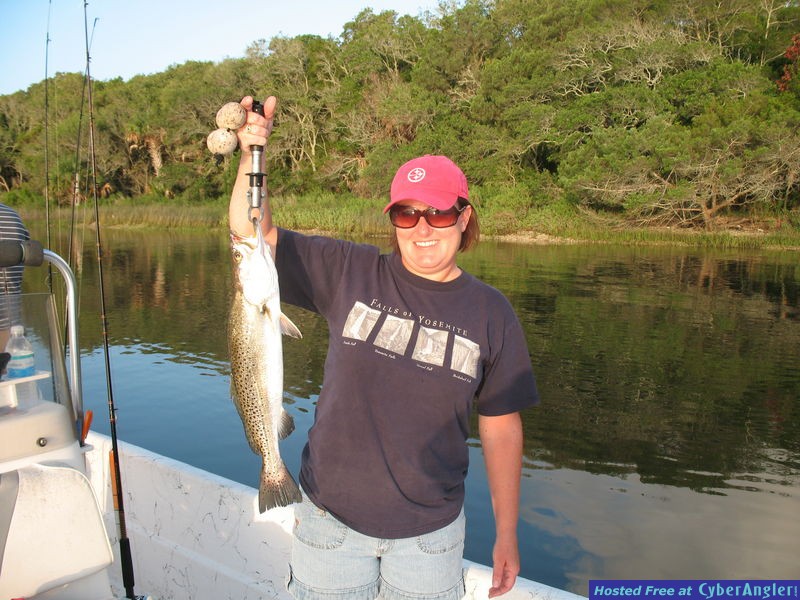 Click to Enlarge Photo