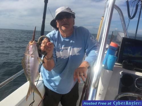 Click to Enlarge Photo