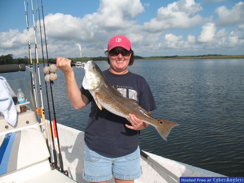 Click to Enlarge Photo